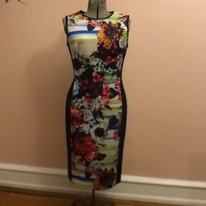 Photo printed fitted stretch dress